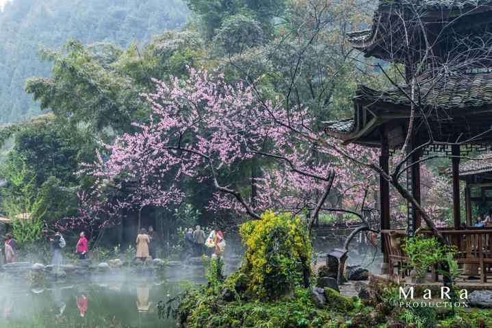 雁北素糕是升糖食物吗?游戏画面